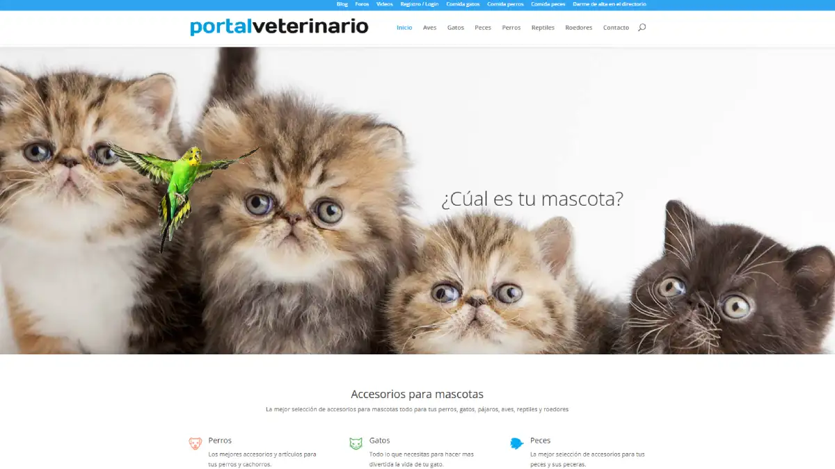 Nichos de mercado para afiliados Amazon