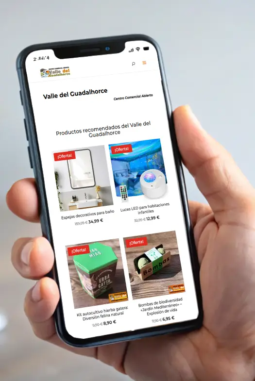 diseño de páginas webs en Málaga