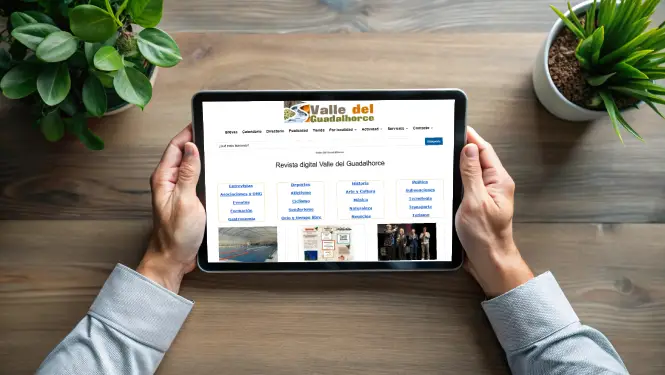 diseño web SEO Málaga